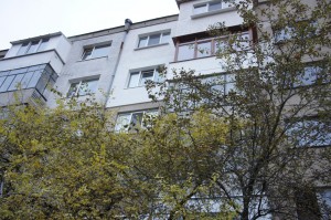 SONY DSC