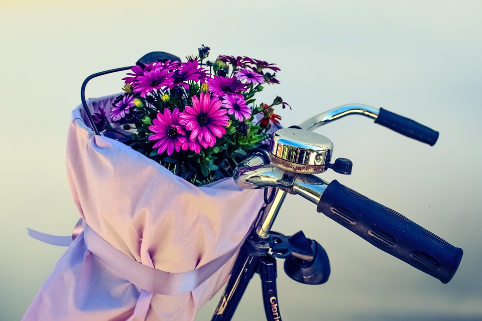 bicycle-vintage