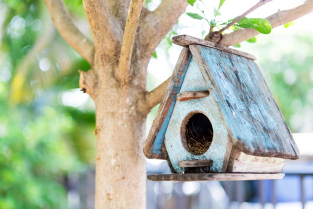 bird-house