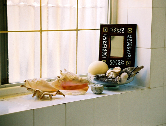 bathroom-window