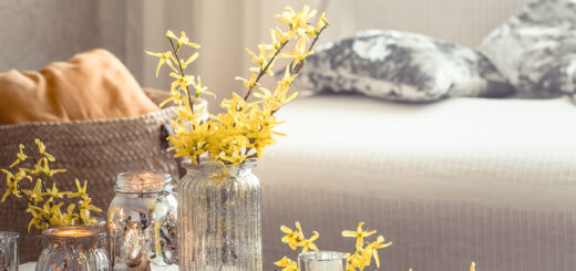 „Пролетен детокс“ на имота: Как да подготвим жилището си в София за огледи?